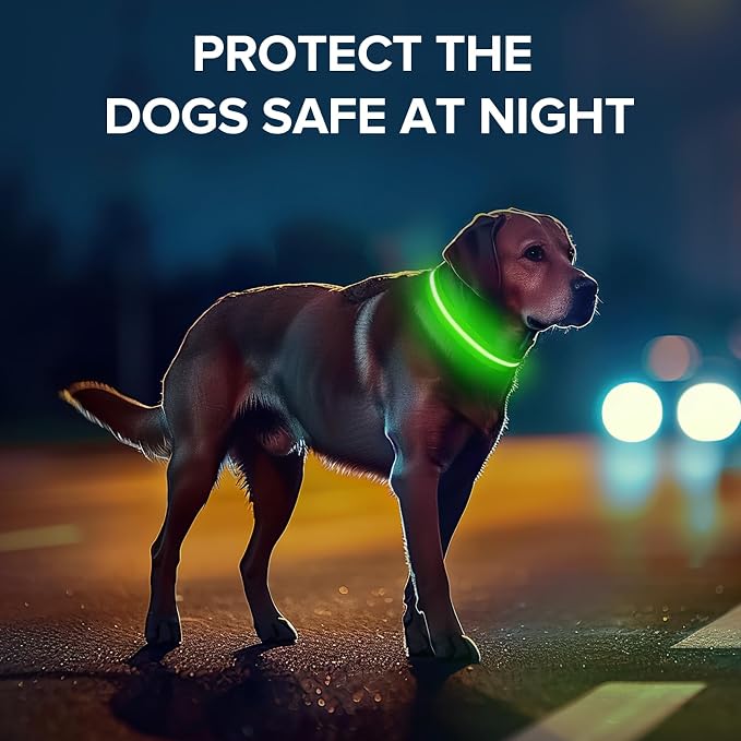 LED Dog Collar, Light Up Dog Collar USB-C Rechargeable Waterproof | 360° Visibility Light Up Dog Collar, Adjustable Nylon Collar with 3 Modes for Small Medium Large Dogs Night Walk Green S - Image 6