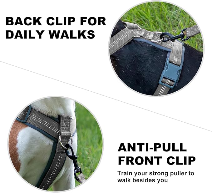 Plutus Pet No Pull Dog Harness, Adjustable Nylon Harness with Soft Padding | Reflective with Front Clip, Heavy Duty for Training and Walking, for Small Medium Large Dogs, Gray, S - Image 4