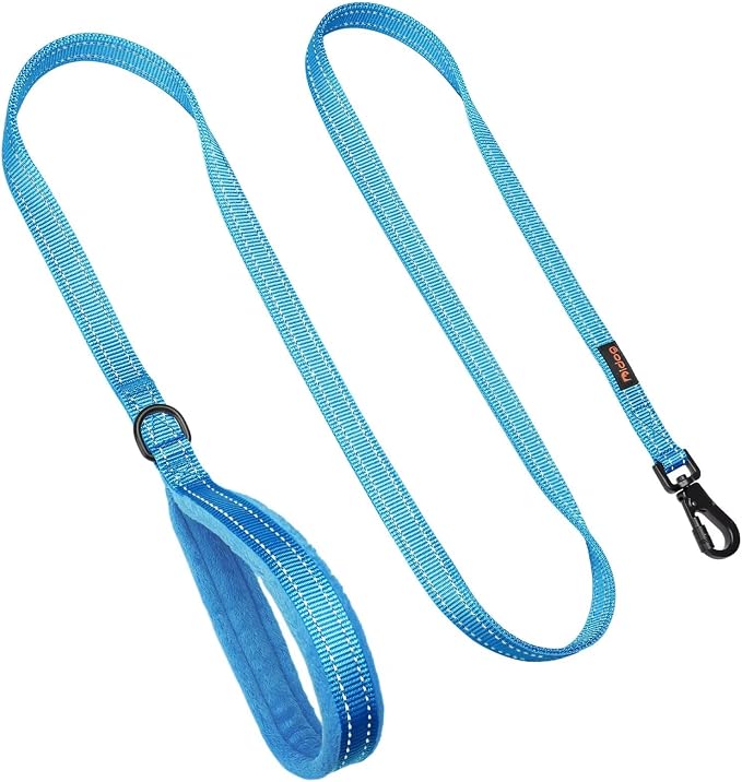 Didog 6FT Reflective Dog Leash for Medium Large Dogs, Slim 3/4" Width, Blue | Soft Padded Handle, Plush Comfort Grip, Tangle-Free, 360°Heavy-Duty Strengthened Clasp for Daily Walks/Training, Night Safety - Image 4