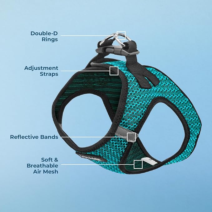 Voyager Step-in Air Dog Harness - All Weather Mesh, Reflective, No Pull Harness for Small, Medium Dogs, Cats - Secure with Hook & Loop Fastener, Buckle, Double D-Rings - Turquoise 2-Tone, XS - Image 5
