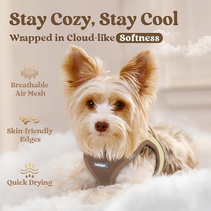 rabbitgoo Step-in Small Dog Harness, Puppy Vest for Small Sized Pet | Easy Put on and off, Lightweight, Soft, Breathable Quick-Dry Air Mesh for Comfortable Secure Walking, Brown & Beige XXS - Image 3