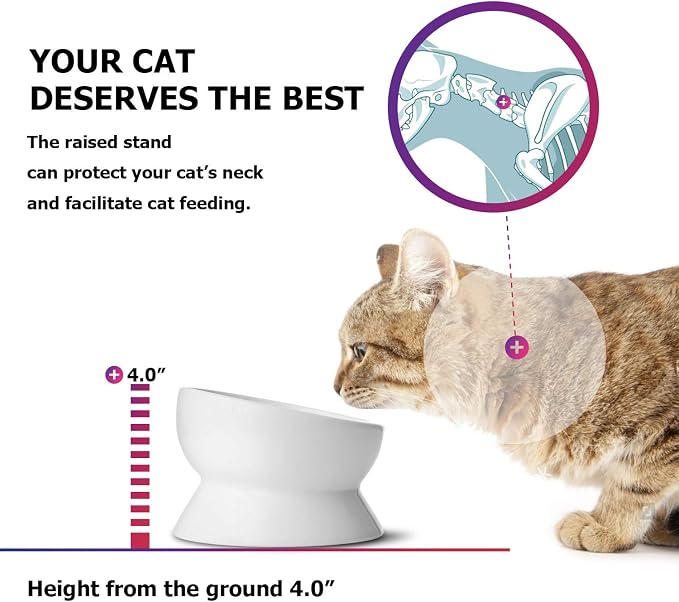 Y YHY Elevated Cat Food Bowl, Raised Food and Water Bowl for Cat and Small Dog, Tilted Ceramic Water Bowls No Spill,15oz, Dishwasher Safe - Image 4