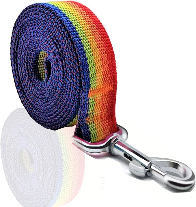 Nylon Dog Leash 4 Ft 5 Feet 6 Foot Long, Walking Training Dog Leashes for Medium Large Dogs, 1 Inch Wide (5/8" X 6 ft, Rainbow) - Image 2