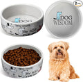 Maxcheck 2 Pcs 5 Inch Ceramic Dog Bowls Dishes for Small Dogs Cute Cartoon Pattern Puppy Cat Bowls Heavy Food Water Dishes for Pets Feeding Travel, Dishwasher Safe Microwave Safe (Gray) by Maxcheck
