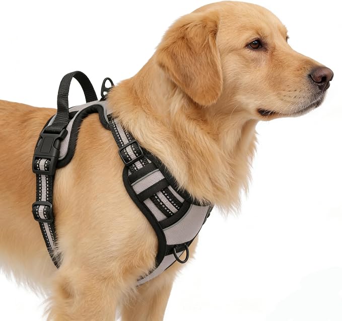 Gray No-Pull Dog Harness with 2 Leash Clips，Soft Padded Vest for Large Dog, Adjustable Reflective Dog Vest Easy to Put on and Take Off,Neck: 18"~26", Chest: 25"~34",Gray XL - Image 4