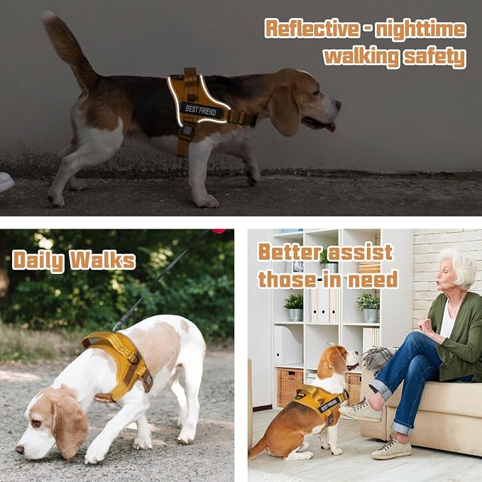 AUROTH Dog Harness and Leash Set for Medium Sized Dog, No Pull Dog Vest | with 5.25FT Dog Leash, Breathable Soft Padded, No choke, Reflective Tactical, Easy to Put on & Take Off - Turmeric Medium - Image 5