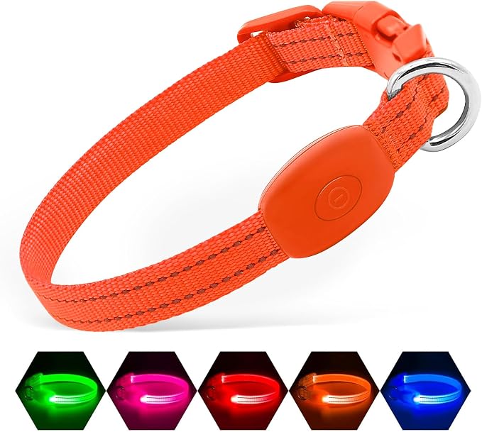 Illumifun Light Up Dog Collar for Small Dogs Cats, Rechargeable LED Dog Collar Glow at Night, Adjustable Nylon LED Cat Collar Light (Orange, X-Small) by Illumifun