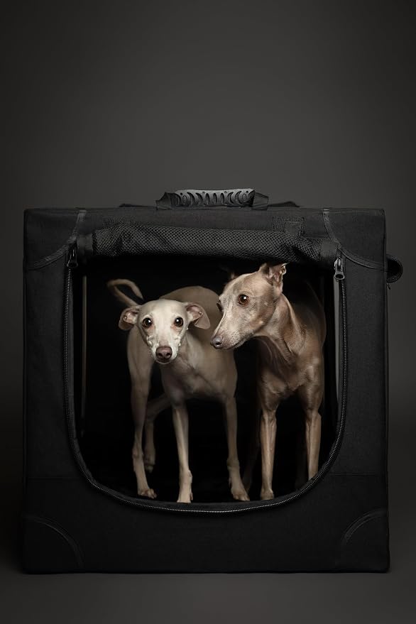 Noah & Paw Collapsible Dog Crate 30 Inches, Large Dog Crate for Large Medium Breeds, Travel Kennel for Car, Including Pet Mat for Pet Cage, 2 Storage Pockets, Handbag, 10mm Locking Zipper 30*21*21 - Image 4