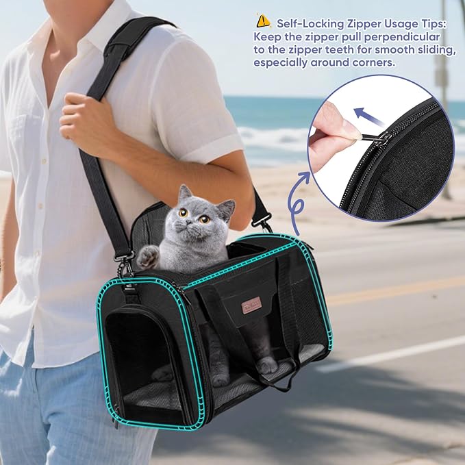 BALEINE Cat Carrier, Puppy Dog Carrier for Small Medium Pets Up to 15 Lbs, Soft-Sided Dog Travel Bag with Safety Zippers, Collapsible Pet Carrying Case (Black, L, 17"x11"x11") - Image 3