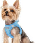 rabbitgoo Step-in Small Dog Harness, Puppy Vest for Small Sized Pet | Easy Put on and off, Lightweight, Soft, Breathable Quick-Dry Air Mesh for Comfortable Secure Walking, Blue XS by rabbitgoo