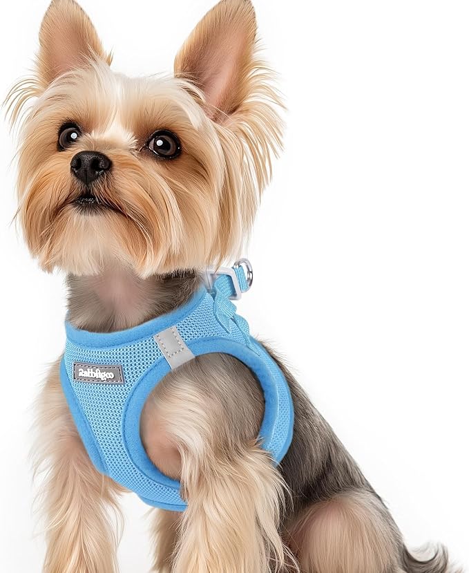 rabbitgoo Step-in Small Dog Harness, Puppy Vest for Small Sized Pet | Easy Put on and off, Lightweight, Soft, Breathable Quick-Dry Air Mesh for Comfortable Secure Walking, Blue XS by rabbitgoo