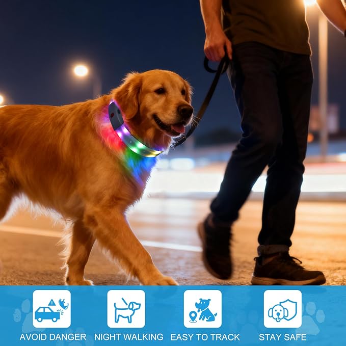 Lighted Dog Collar, Rechargeable Light Up Pet Collar, Waterproof LED Dog Collar Glow in the Dark, Make Pet Visible and Safety for Night Walking for Small Medium Large Dogs (Purple) - Image 2