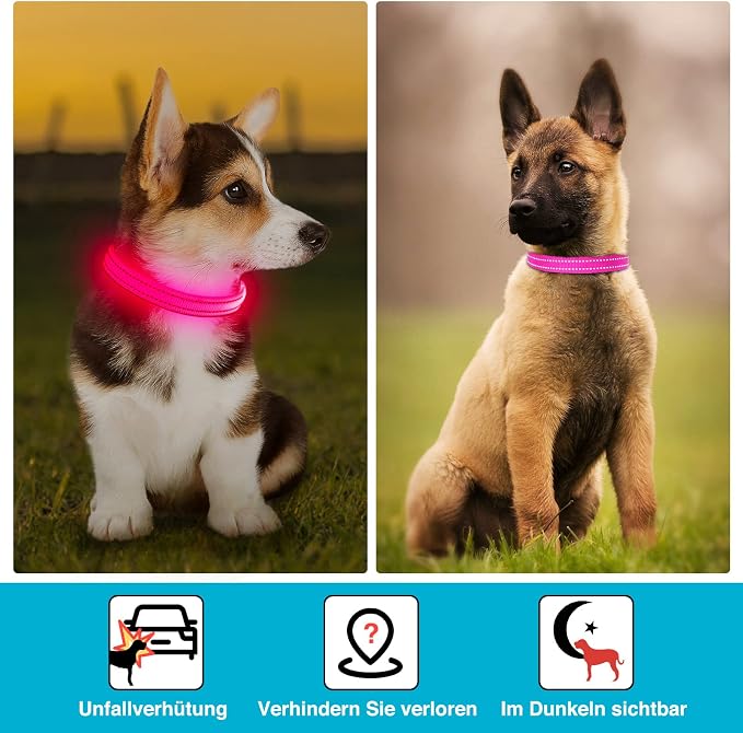 Light Up Dog Collar, Rechargeable USB Collar, Waterproof, Luminous LED Collar, Adjustable, Super Bright, Night Walking for Small Medium Large Dogs, Pink, S - Image 6