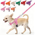 BEAUTYZOO Small Dog Harness and Leash Set, No Pull Step in Puppy Vest | Neck & Chest Adjustable, No Choke Escape Proof, Breathable with Handle, Lightweight, Easy Control for Walking, Pink S by BEAUTYZOO