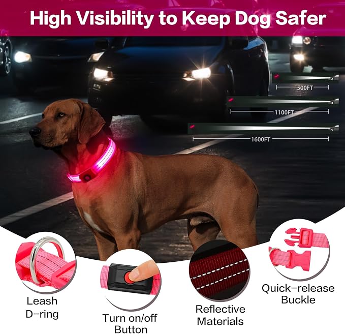 Light Up Dog Collar for Night Walking Flashing, LED Dog Collar Light Rechargeable Reflective Dog Collar Water-Resistant Adjustable Size Dog Collars for Medium Dogs - Image 2