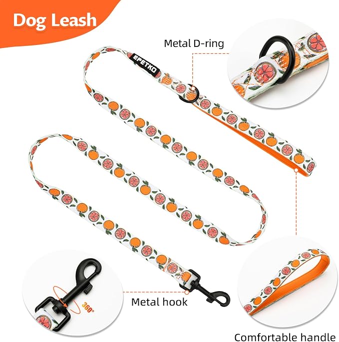 Small Dog Harness and Leash Set of 6, No Pull Soft Lightweight Mesh Puppy Harness， Adjustable Cute Floral Pattern Pet Harness for Small Medium Dogs (Orange, L) - Image 6