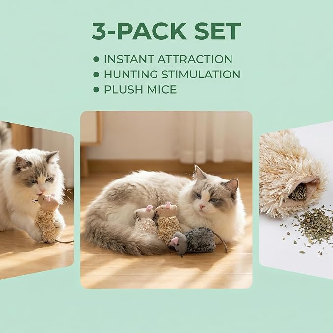 Ciieeo 3pcs Refillable Catnip Cat Toys for Indoor Cats & Kittens Plush Interactive Teething Chew Toy Mouse Shaped Catnip Pillow Assorted Colors - Image 4