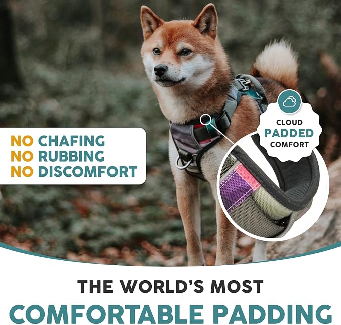 Embark No Pull Dog Harness, Reflective Adjustable Training Vest, No Choke | Adjustable straps fit all dog breeds with sturdy hooks; 360° reflective trim, soft padded Harness Design for All Dogs - Image 7