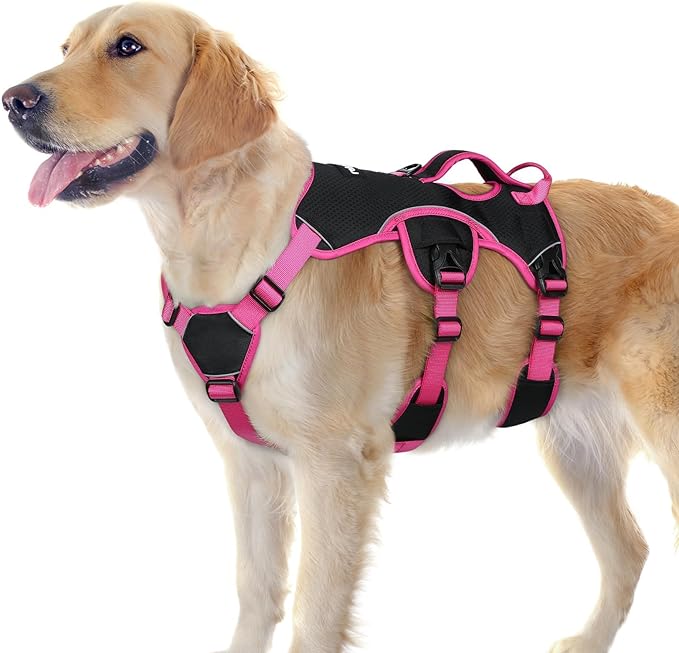 rabbitgoo Escape Proof Dog Harness for Large, No Pull with Lift Handle | No Escape, Full Soft Padded, Reflective Adjustable Vest, Leash Clip for Walking Hiking Training, Rose & Black, Large by rabbitgoo