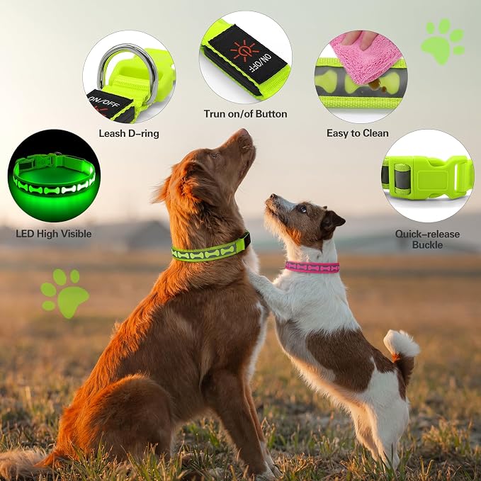 Flashseen LED Dog Collar Light Up USB-C Rechargeable (Green, Small) | Glow in the Dark Collar for Night Walking, Adjustable Waterproof Visibility Glowing Collars for Dogs - Image 3