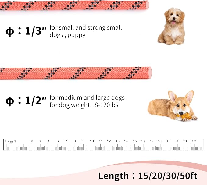 Long Dog Leash for Training 20Ft-Reflective Nylon Rope with Swivel Hook-Recall Agility Lead for Large Small Medium Dogs Outside Walking Hiking-Orange - Image 4