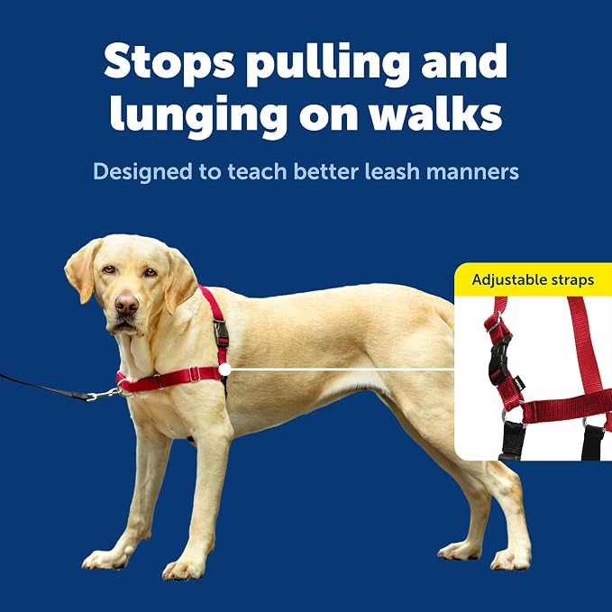 PetSafe Easy Walk Harness for Dogs - Pull-Free Walks - Patented Martingale Loop Design - Front Chest Leash Attachment - Comfort Straps - Breathable Harness Design - Large, Red/Black | Patented Martingale Loop Gives Gradual Shoulder Pressure to Stop Pul... - Image 4