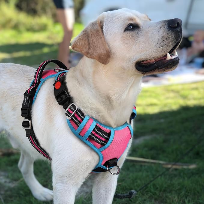 rabbitgoo Dog Harness for Large, No Pull 3 Buckles Easy On & Off | Soft Padded, Walking with Control Handle, Adjustable and Reflective, Pink & Blue, Large - Image 8