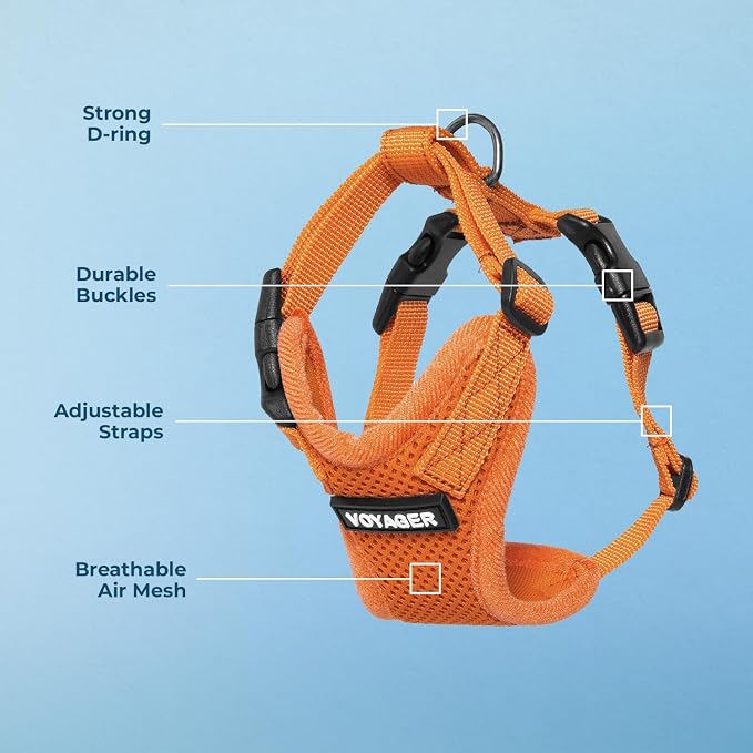 Voyager Step-in Lock Dog Harness - Orange, X-Small | 13 - 16" in Chest, Adjustable, Breathable Air Mesh, Lightweight for Daily Walks, Strong Clips, Heavy Duty D-Ring - Image 4
