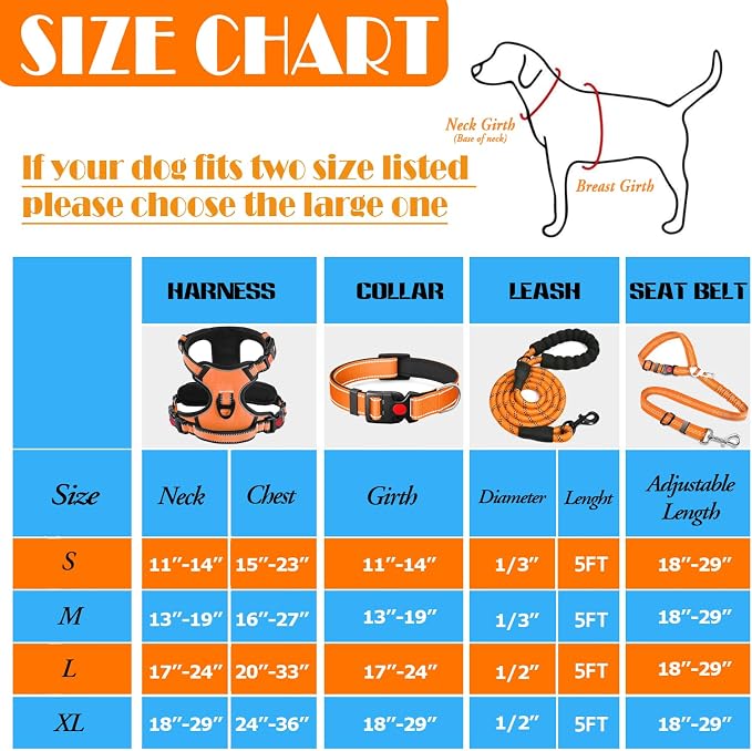 LOBEVE No Pull Dog Harness, Collar & Leash Set with Travel Accessories | Includes Dog Seat Belt, Collapsible Bowls & Poop Bag Dispenser. Ideal for Training, Walking, Hiking. Fits Small to Large Dogs - Image 3