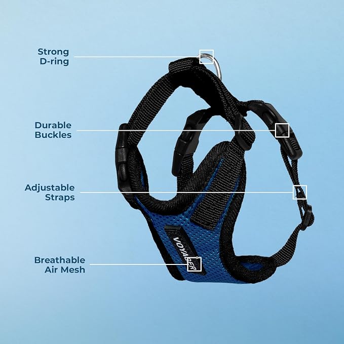 Voyager Step-in Lock Dog Harness - Royal Blue/Black Trim, Medium | 17 - 21" in Chest, Adjustable, Breathable Air Mesh, Lightweight for Daily Walks, Strong Clips, Heavy Duty D-Ring - Image 4