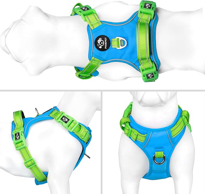 No Pull Dog Harness, Unique Colors Reflective Adjustable Dog Vest | with Soft Training Handle Metal Clips for Small Medium Large Dogs (Blue Base & Green Straps,XL) - Image 2