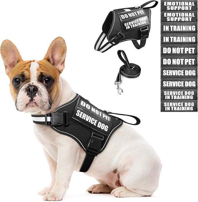 Service Dog Vest Harness and Leash Set+10 Patches,No Pull&Easy Walk Reflective Dog Harness with Soft Padded Handle for Training/Everyday,Fit Small/Medium/Large/Extra-Large Dogs (Black S) | No Pull&Adjustable Reflective Dog Harness Small Sized,Dog Leash... by MOOGROUPETSFRIEND