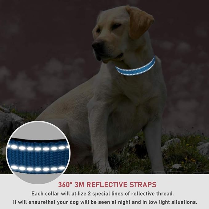 Reflective Dog Collar with Buckle Adjustable Safety Nylon Collars for Small Medium Large Dogs, Blue L | Breathable, No Chafing on Walks and Outdoor Hikes, Metal D-Ring, Night Safety - Image 4