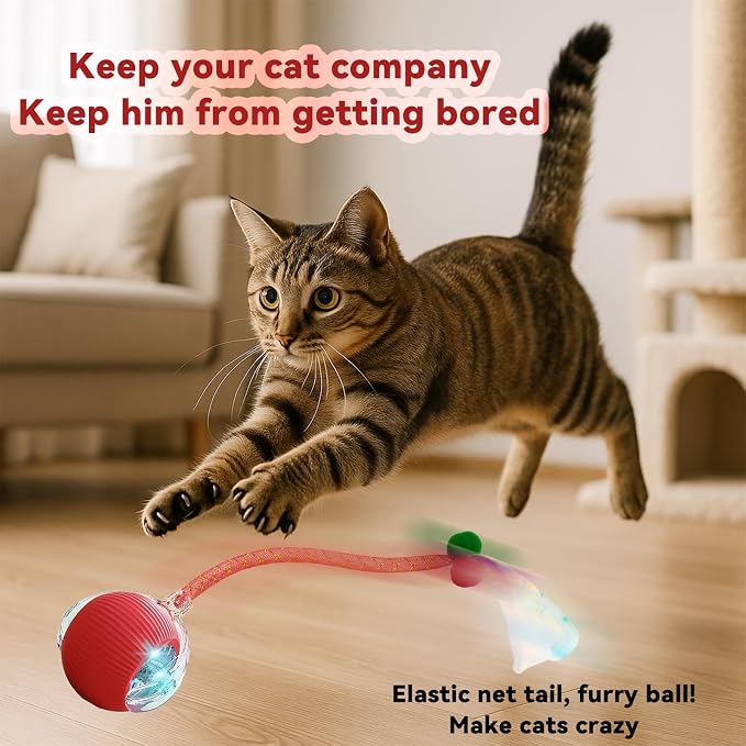 Speedy 2.0 Tail 2 Packs Interactive Cat Toys for Indoor Cats, Automatic Cat Toy with Elastic Mesh Tail, Electric Rolling Ball on Carpet, Chirping and Motion Activate Cat - Image 2