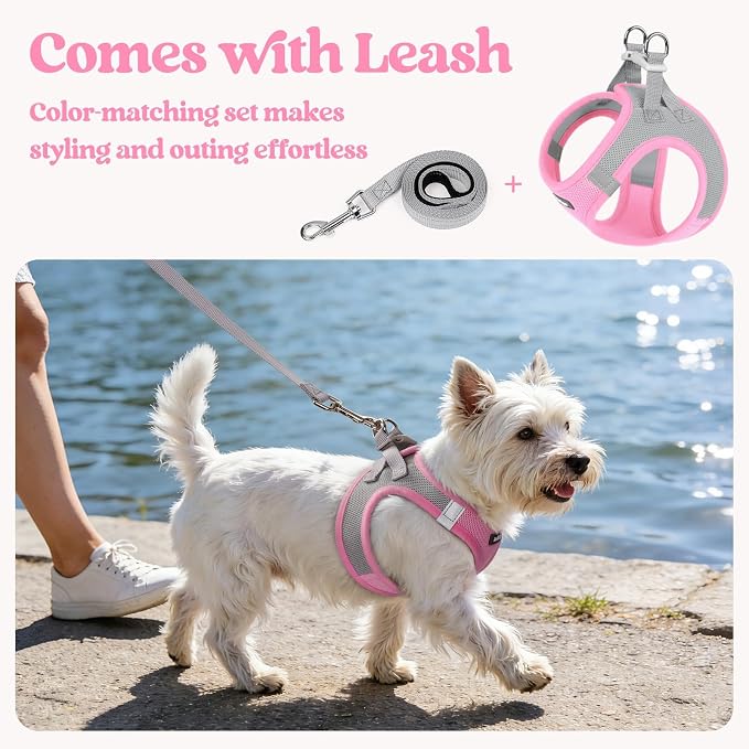 rabbitgoo Dog Harness Small Sized and Leash Set, Step-in Puppy Pet Vest | Light, Soft, Breathable Air Mesh, Easy on and Remove with Hook & Loop, Secure Reflective for Walking, Light Pink & Gray XXS - Image 5