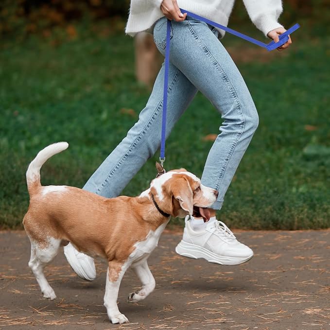 Hypeety Dog Training Leash Strong Nylon Lead for Training Walking, 3pcs | 3-pack nylon leashes, 5ft long with sturdy hook, sturdy lightweight traction rope, for puppy/dog/cat/rabbit, red/blue/black - Image 5