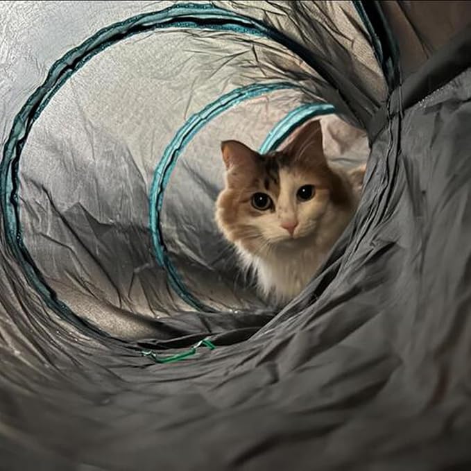 Bemodst Cat Tunnel for Indoor Cats, 5 Way Cat Tubes and Tunnels Collapsible S-Shape Small Animal Tubes Kitty Tunnels Interactive Maze Cat Toy for Kitten Rabbit Ferret - 5 Way - Image 8