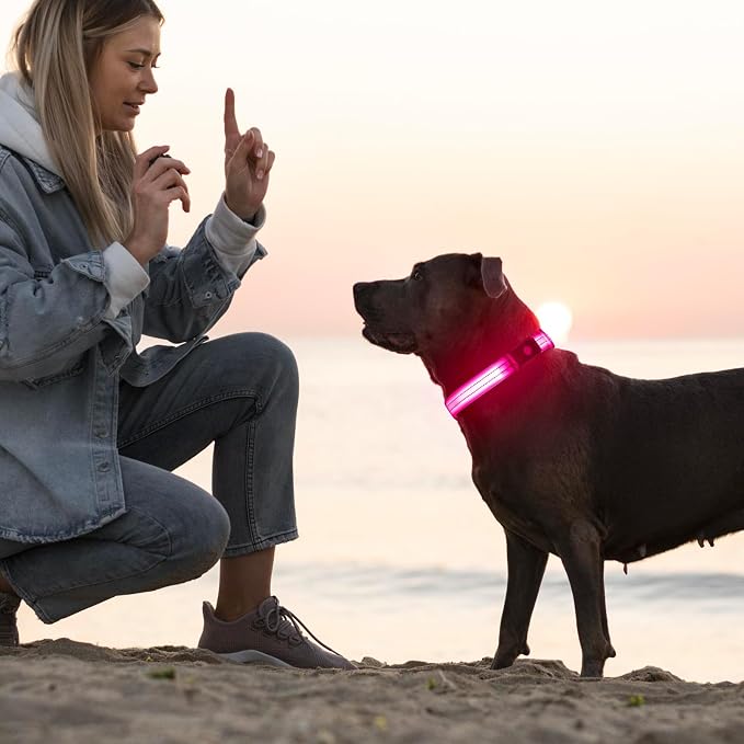 Light Up Dog Collar for Night Walking Flashing, LED Dog Collar Light Rechargeable Reflective Dog Collar Water-Resistant Adjustable Size Dog Collars for Medium Dogs - Image 6