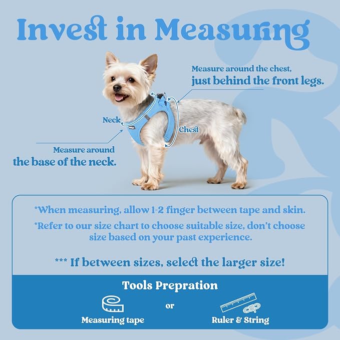 rabbitgoo Step-in Small Dog Harness, Puppy Vest for Small Medium Sized Pet | Easy Put on and off, Lightweight, Soft, Breathable Quick-Dry Air Mesh for Comfortable Secure Walking, Blue L - Image 2
