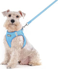 rabbitgoo Dog Harness Medium Sized and Leash Set, Step-in Puppy Pet Vest | Light, Soft, Breathable Air Mesh, Easy on and Remove with Hook & Loop, Secure Reflective for Walking, Blue XXL by rabbitgoo