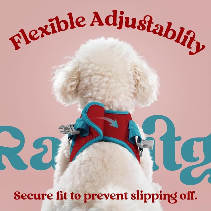rabbitgoo Dog Harness Small Sized and Leash Set, Step in Soft Vest | Breathable Mesh, Easy Wear with Hook & Loop, Light and Reflective for Walking, Multi-colored, Red & Teal, M - Image 5