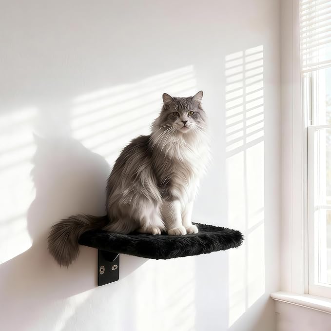 Wooden Cat Wall Shelves and Perches, 5 Piece Wall Mounted Cat Furniture System with Soft Washable Pads, Modern & Space-Saving Design for Climbing and Play - Image 6
