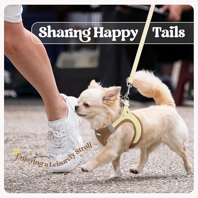 rabbitgoo Dog Harness Medium Sized and Leash Set, Step-in Puppy Pet Vest | Light, Soft, Breathable Air Mesh, Easy on and Remove with Hook & Loop, Secure Reflective for Walking, Brown & Beige L - Image 9