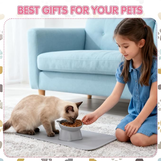Elevated Cat Bowls 15° Raised Cat Bowl with Silicone Mat Multicolor | Whisker Friendly Anti Vomiting Cats Dishes Pet Food and Water Bowls for Indoor Cats Kittens - Image 7