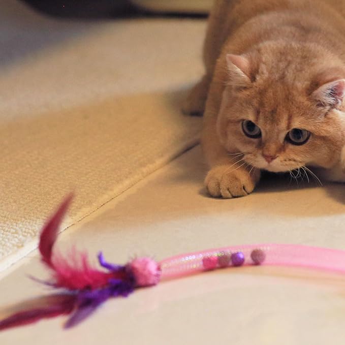 Interactive Cat Toys with Feather, Colorful, 3 Pcs | Stretchable Mesh Tubes, Bell Inside, Catnip Inside, Interactive Play String for Cats and Kittens, Cat Nip Chew Toy - Image 4