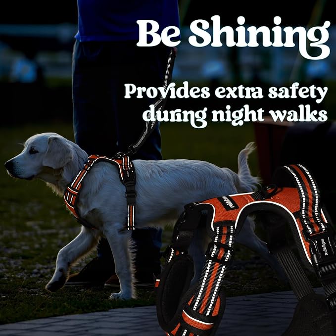rabbitgoo Dog Harness for Large, Updated Easy On & Off with 3 Buckles | No Pull No Choke, Walking with 2 Clips and Handle, Adjustable Soft Reflective, Orange, Large - Image 8