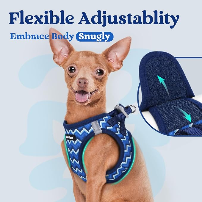 rabbitgoo Step-in Small Dog Harness, Puppy Vest for Small Medium Sized Pet | Easy Put on and off, Lightweight, Soft, Breathable Quick-Dry Air Mesh for Comfortable Secure Walking, Blue Zigzag L - Image 8