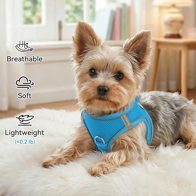 Joytale Step-in Dog Harness, Soft Breathable Mesh, Sky Blue XXXS | Adjustable Fit for Small Dogs, Easy Step-in with Secure Fastener, Even Chest Pressure, Reflective For Night Safety, Washable - Image 4