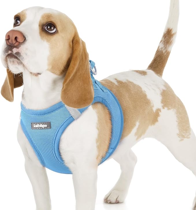 rabbitgoo Step-in Small Dog Harness, Puppy Vest for Small Sized Pet | Easy Put on and off, Lightweight, Soft, Breathable Quick-Dry Air Mesh for Comfortable Secure Walking, Blue M by rabbitgoo