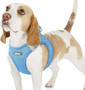 rabbitgoo Step-in Small Dog Harness, Puppy Vest for Small Sized Pet | Easy Put on and off, Lightweight, Soft, Breathable Quick-Dry Air Mesh for Comfortable Secure Walking, Blue M by rabbitgoo